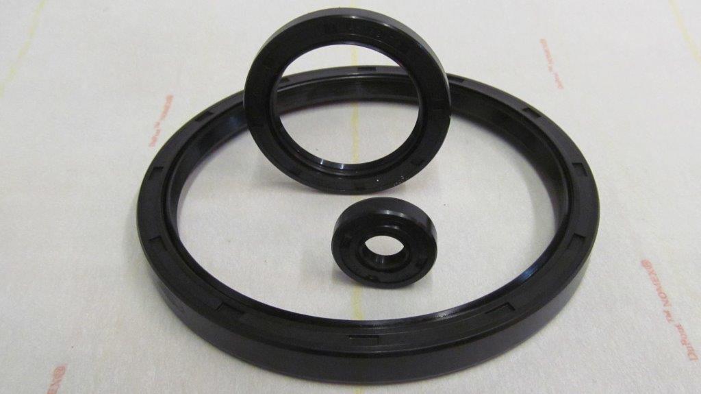 Electric Motor Metric Oilseals