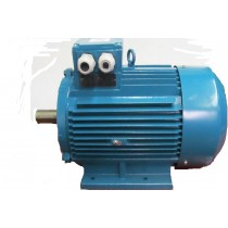 0.75kw 6 Pole (1000rpm)