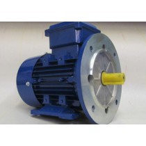 5.5 kw 6 Pole (1000rpm) 132M Frame B35 Foot and Flange Mounted Aluminium Three Phase Electric Motor