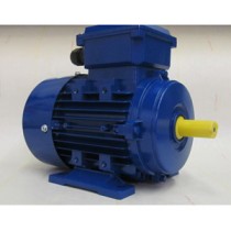 0.25kw 2 Pole (3000rpm) 63 Frame B3 Foot Aluminium Three Phase Electric Motor