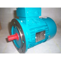 0.25kw 4 Pole (1500rpm)