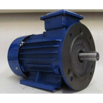 3kw 6 Pole 132S Frame B35 Foot & Flange Mounted Cast Iron Three Phase Electric Motor